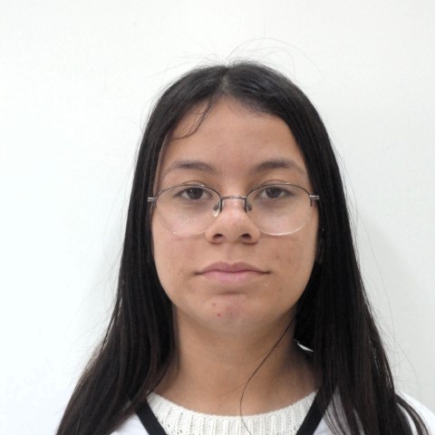 Foto de YASMIN VITÓRIA SILVEIRA DOS SANTOS 