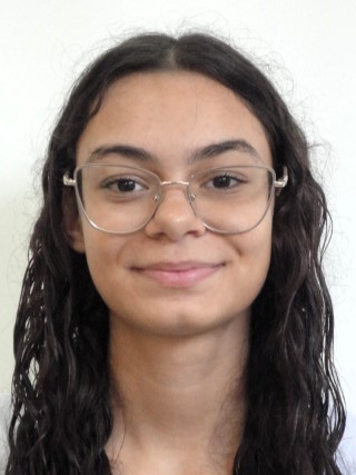 Guardinha