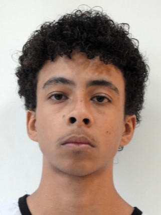 Guardinha